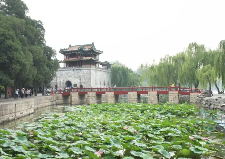 China Poster - Lotus in Beijing (5)