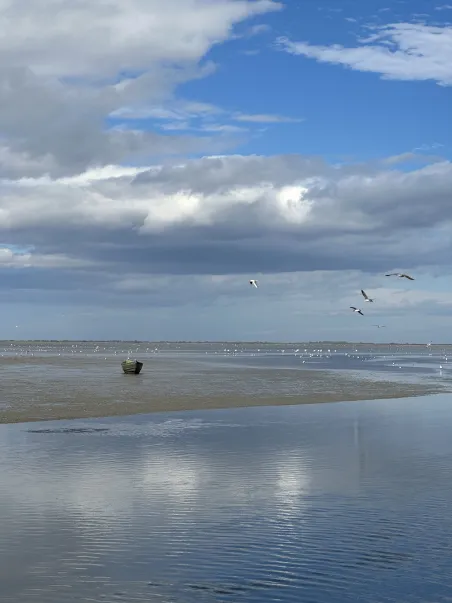 Affiche La Camargue - Le bateau oublié (5)