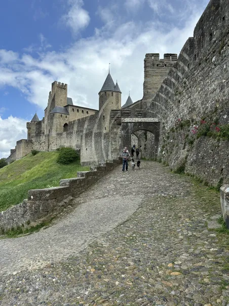Affiche Carcassonne - Cité Médiévale (5)