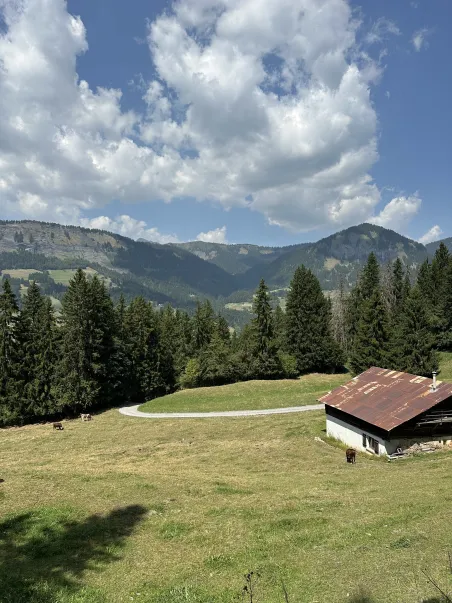 Affiche Les Alpes - Paysage de Montagne (5)
