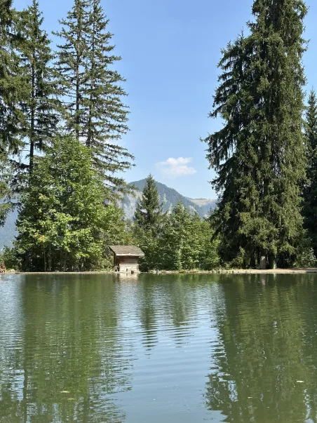 Affiche Les Alpes - Lac et Chalet (5)