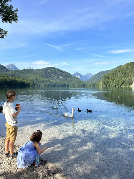 Affiche Alpsee -  Le calme des eaux bavaroises (5)