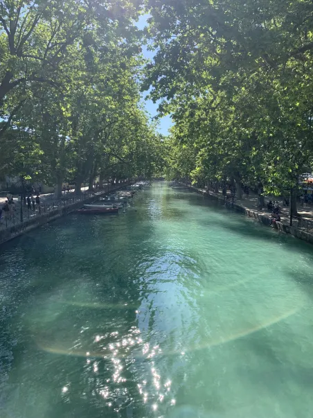 Affiche Annecy - Canal et Cygnes (5)