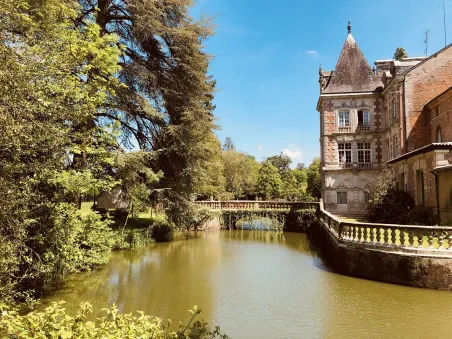 Affiche Loire - Château de Rocheux (5)